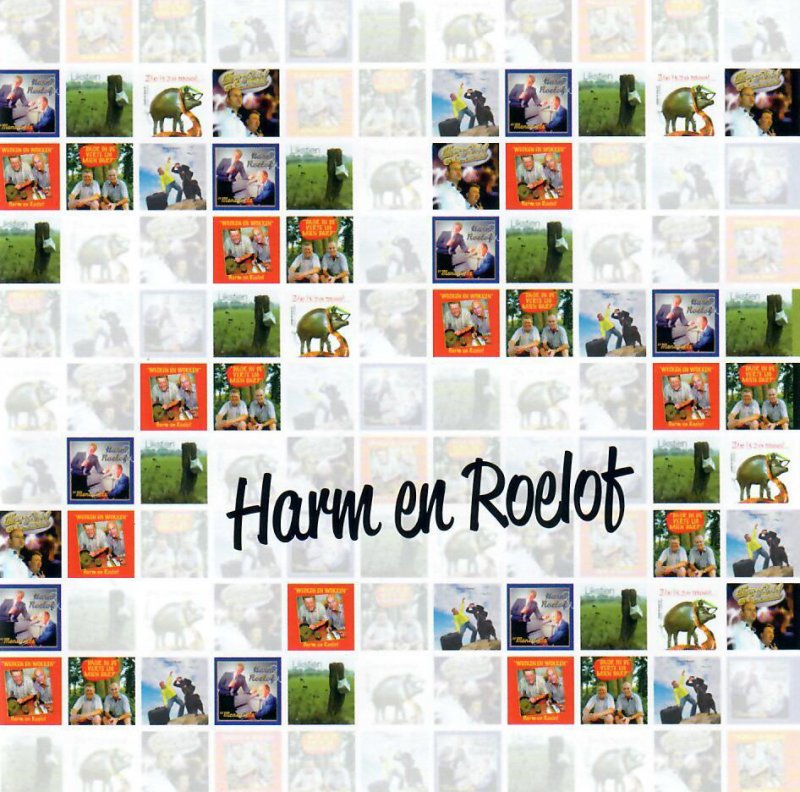 CD 25 jaar Harm en Roelof